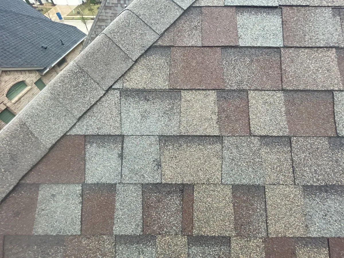 Close-up of hail damage bruising on asphalt shingles