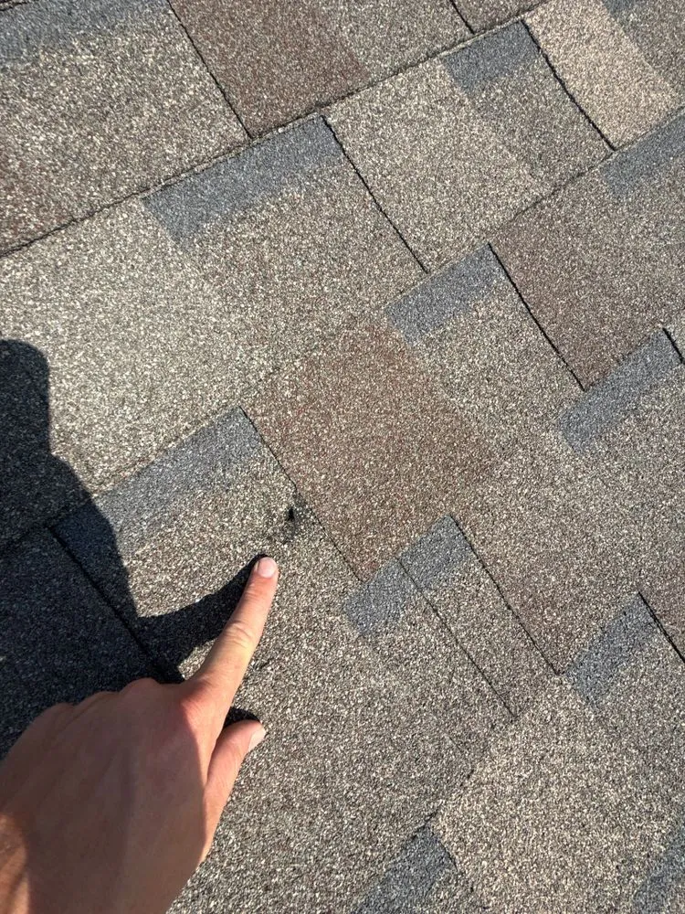 A roof inspector pointing out a hail bruise on asphalt shingles during a roof inspection